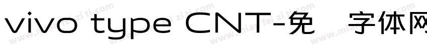 vivo type CNT字体转换